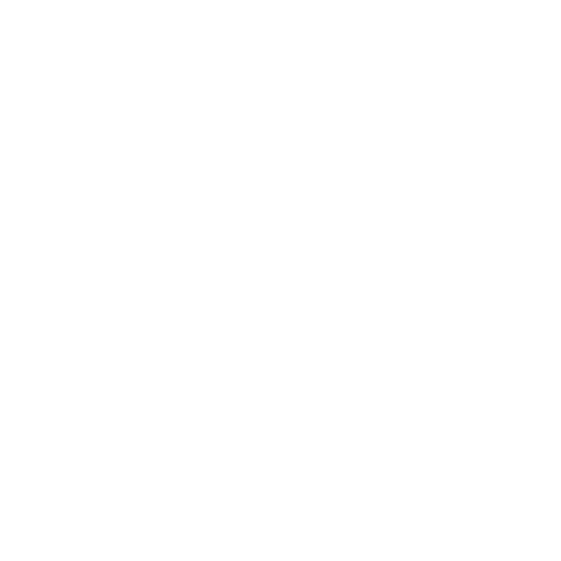 Data Security Icon